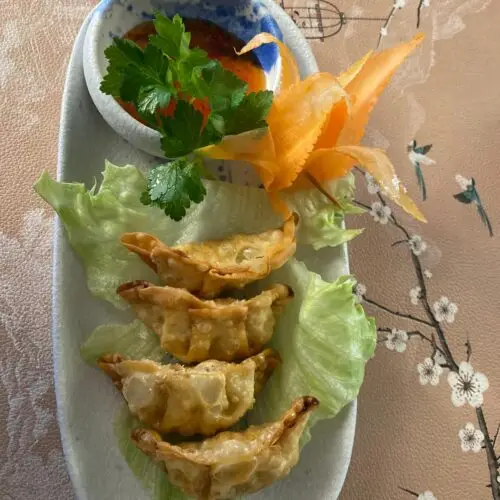 010 Vegi Gyoza (4 Stück) 🌱