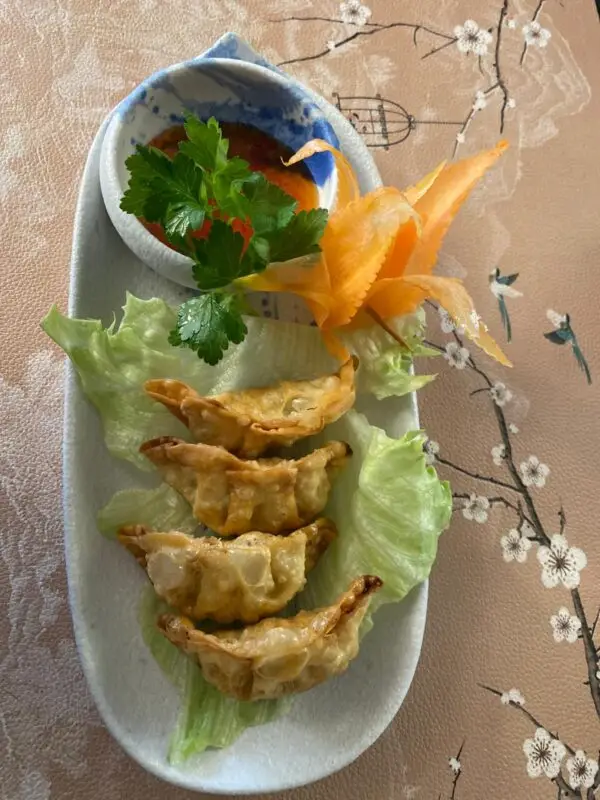 010 Vegi Gyoza (4 Stück) 🌱