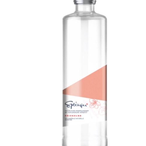 Wasser mit Gas 50 cl